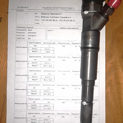 0445110047_bmw5_forsunka 1